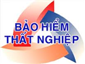 Thông báo Tình hình sử dụng lao động trên địa bàn tỉnh