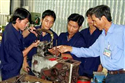 Năm 2011 đào tạo nghề cho khoảng 800.000 nông dân