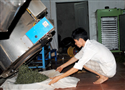 Sau đào tạo nghề nhiều lao động có việc làm