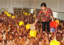Khai giảng hai lớp chăn nuôi gia súc gia cầm tại xã Phú Linh huyện Vị Xuyên theo đề án 1956
