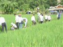 Gắn dạy nghề cho lao động nông thôn với xây dựng nông thôn mới