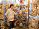 Chính sách hỗ trợ đào tạo nghề và giải quyết việc làm cho người lao động bị thu hồi đất