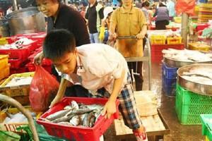 Tỉ lệ lao động trẻ em ở Việt Nam đang giảm dần