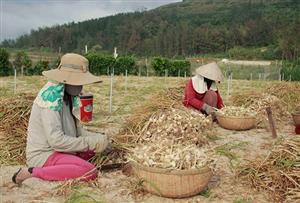 Thu nhập người lao động tăng 16,06%