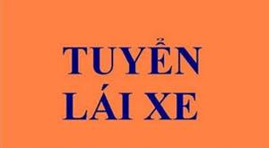 Thông báo tuyển lái xe tải Hổ Vồ