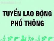 Thông báo tuyển lao động phổ thông làm việc tại huyện Vị Xuyên