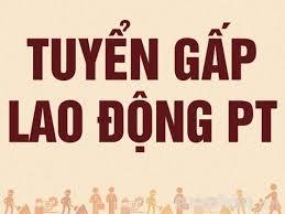 Thông báo tuyển lao động phổ thông của Công ty Cổ phần công nghiệp và Xuất nhập khẩu Lâm nghiệp Hà Giang