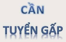Thông báo tuyển nhân viên làm việc tại Công ty Cổ phần Công nghiệp và Xuất nhập khẩu Lâm nghiệp Hà Giang