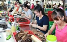 Không được hưởng trợ cấp thất nghiệp
