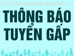 Thông báo tuyển lao động phổ thông làm việc tại Công ty Cổ phần công nghiệp và xuất nhập khẩu Lâm nghiệp Hà Giang