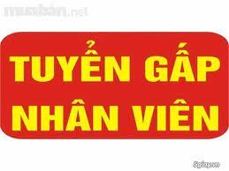 Thông báo tuyển nhân viên làm việc tại Chi nhánh thiết bị máy văn phòng Siêu Thanh