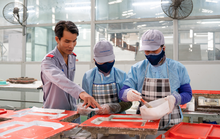 Đào tạo nghề cho lao động mất việc
