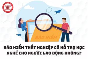 Bảo hiểm thất nghiệp có hỗ trợ học nghề cho người lao động không?