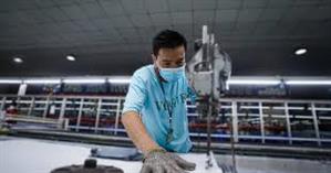 Những trường hợp nhân viên được từ chối việc sếp giao