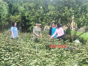 Tạo việc làm bền vững cho cộng đồng