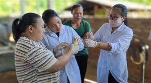 Bạch Thông quan tâm đào tạo nghề cho lao động nữ